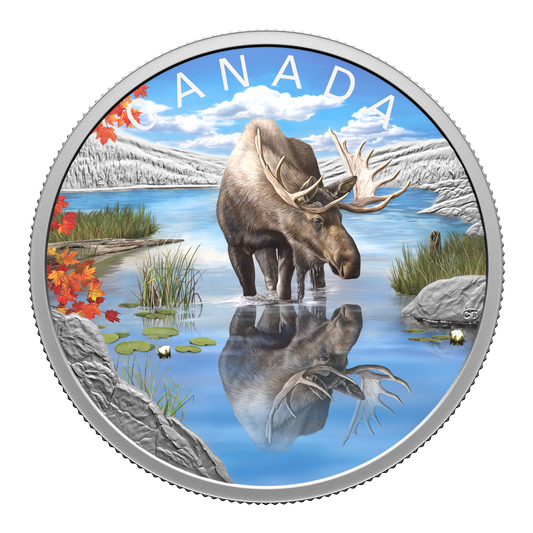 2024 Canada $20 Wildlife Reflections: Moose Fine Silver (No Tax)