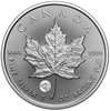 2025 Canada $5 Treasured Silver Maple Leaf: Polar Bears Privy Mark Pure Silver (No Tax)