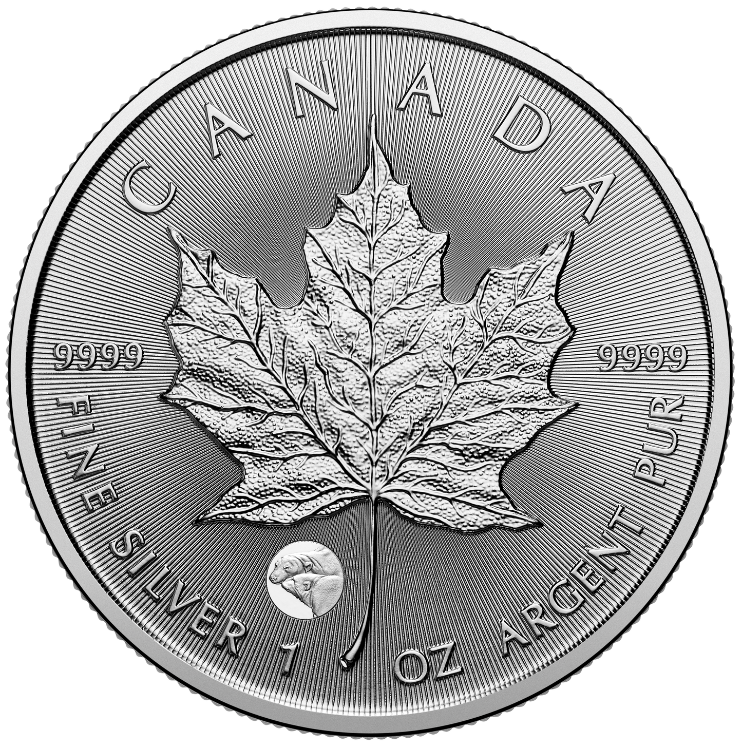 2025 Canada $5 Treasured Silver Maple Leaf: Polar Bears Privy Mark Pure Silver (No Tax)