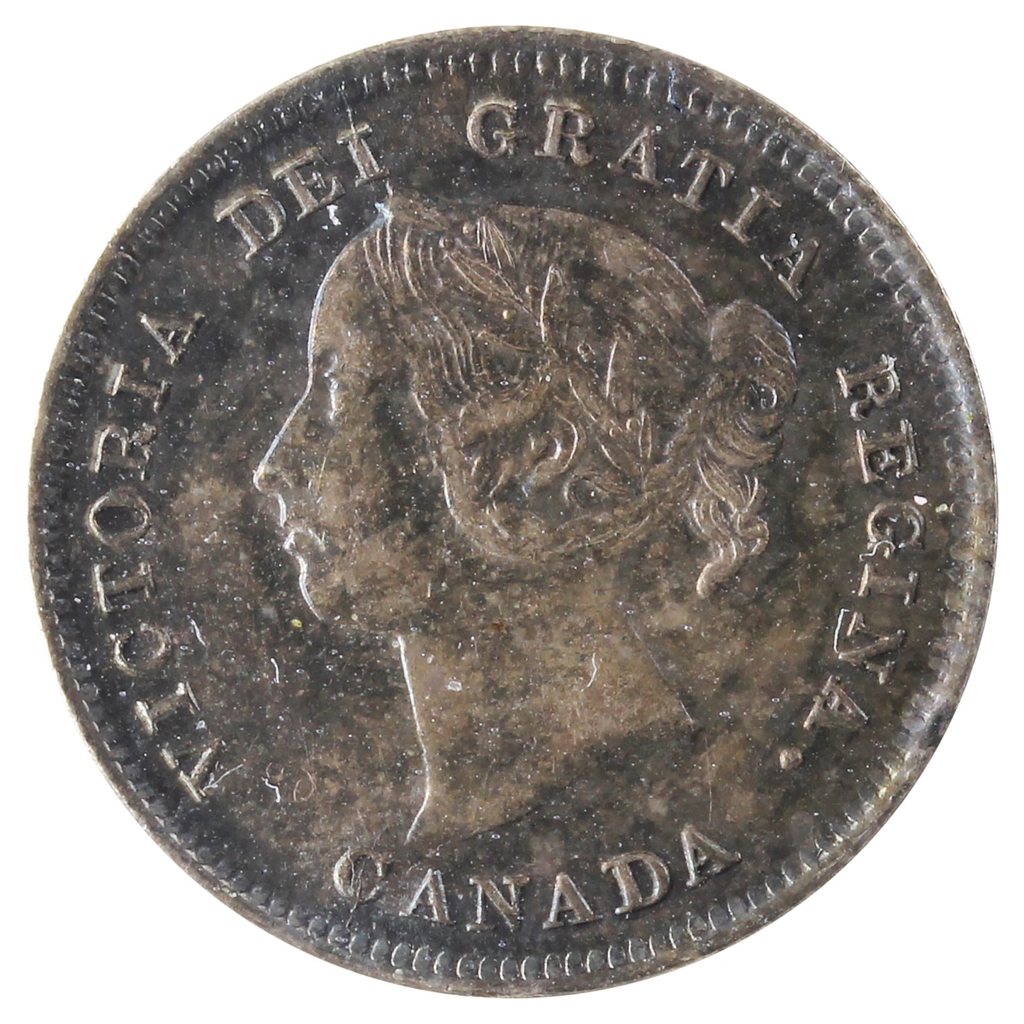 1889 Canada 5-cents ICCS Certified MS-63 (XQM 578)