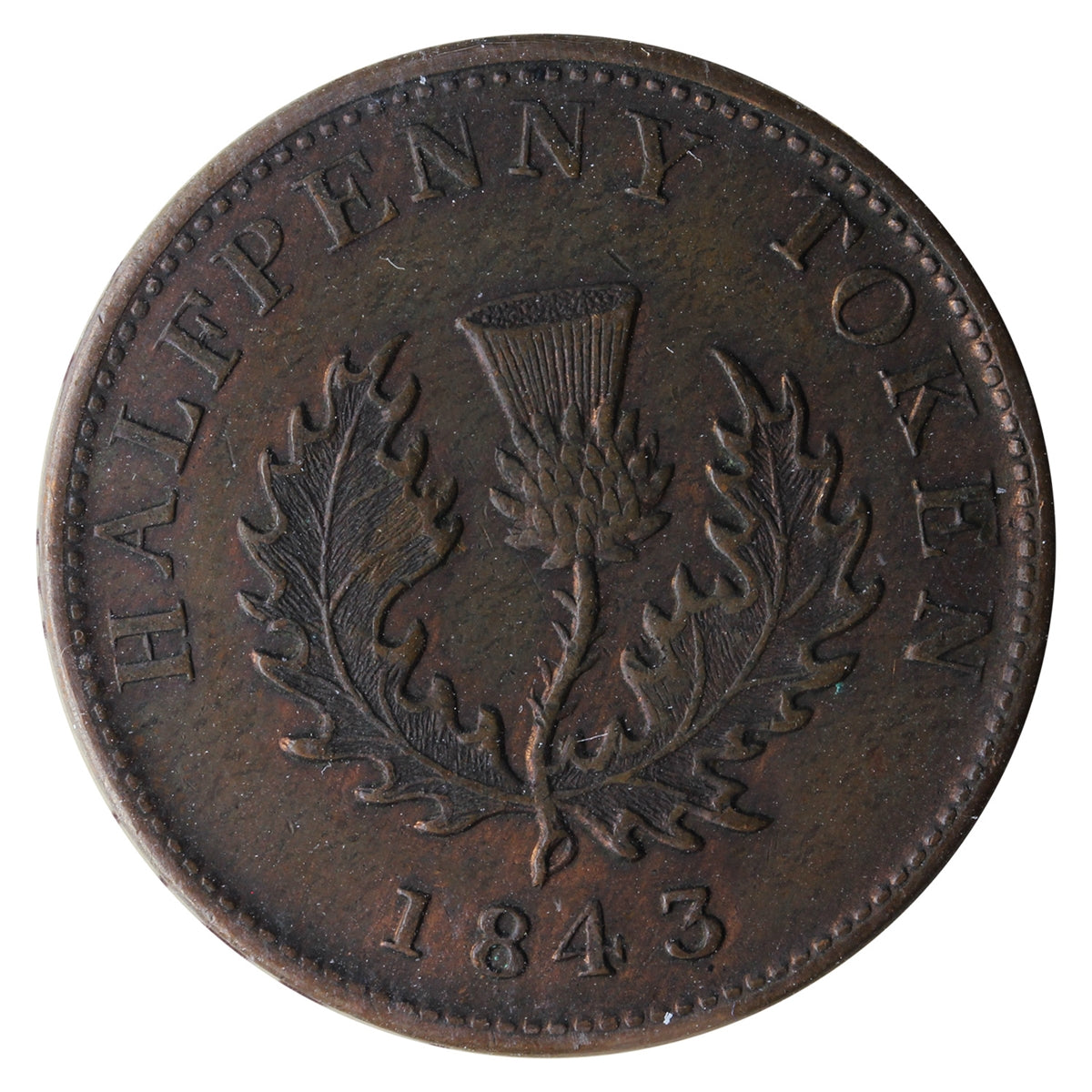 NS-1F5 1843 Nova Scotia Victoria Thistle Half Penny Token ICCS Certified EF-45 BR #874