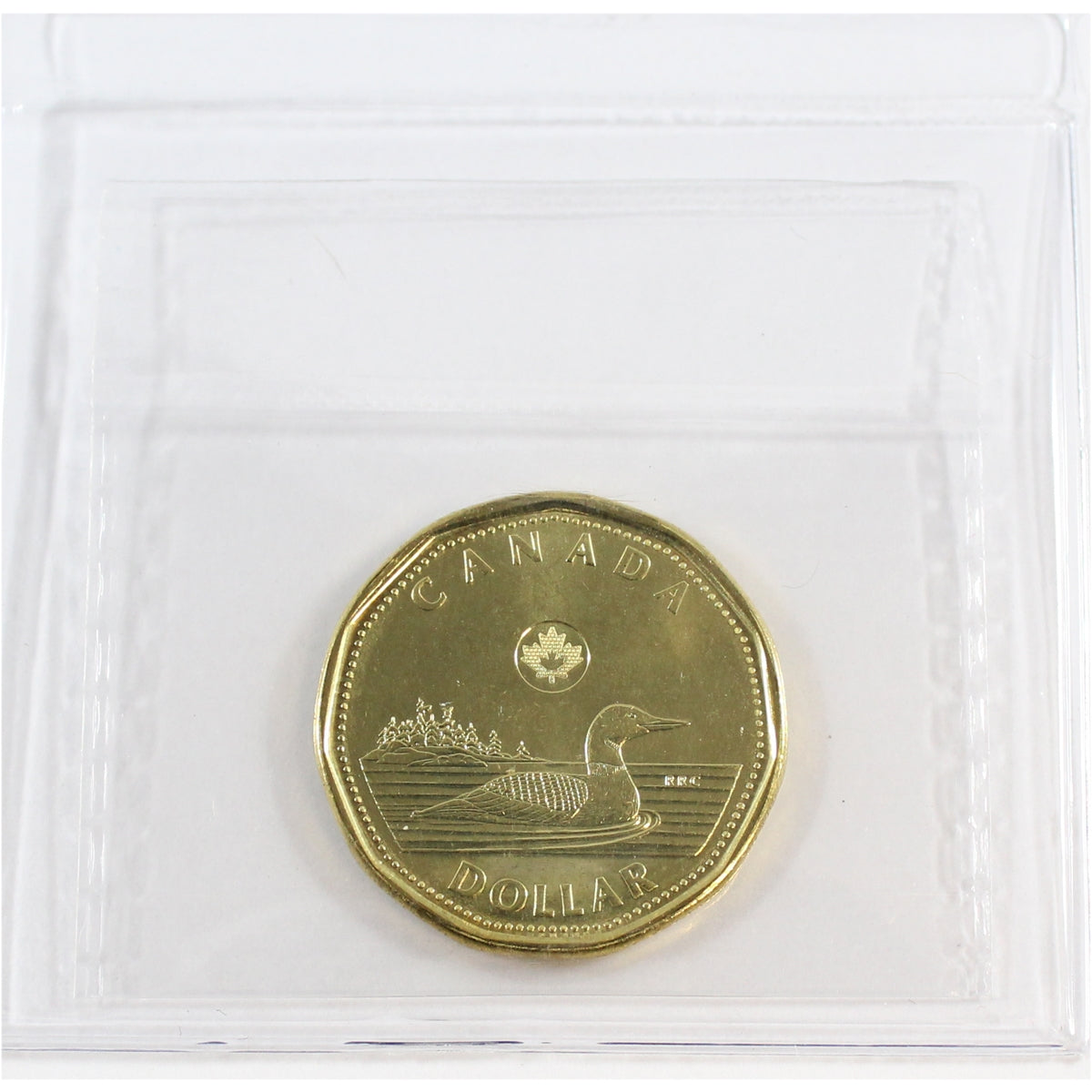 2013 Canada Loon Dollar ICCS Certified MS-65