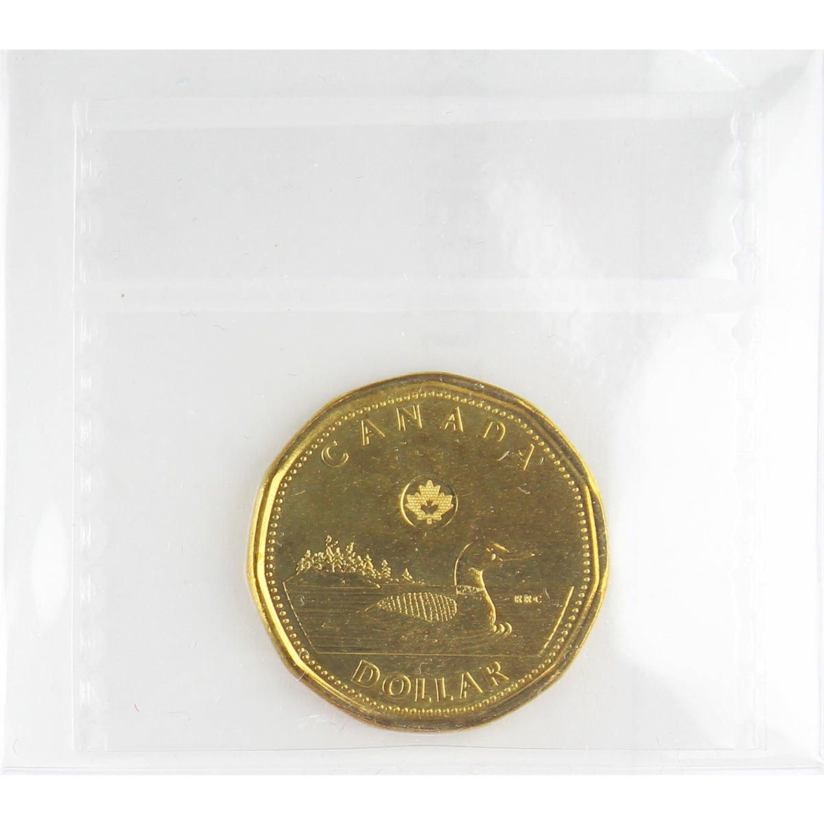 2014 Canada Olympic Loon Dollar ICCS Certified MS-65