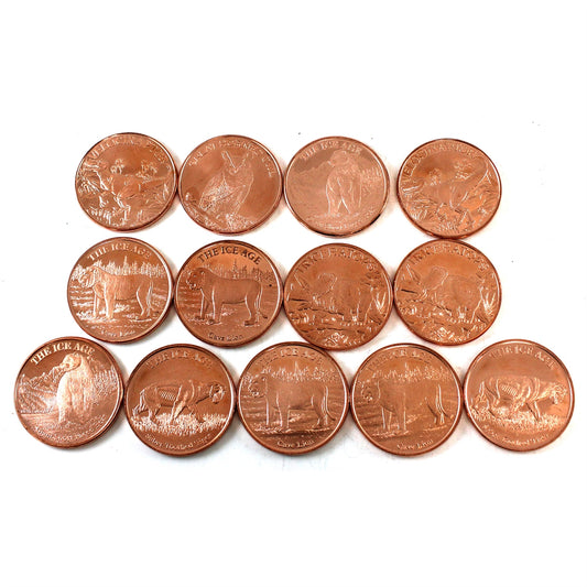 Lot of 13x 1oz Copper Rounds - Mostly Ice Age & Dinosaur Themes, 13Pcs