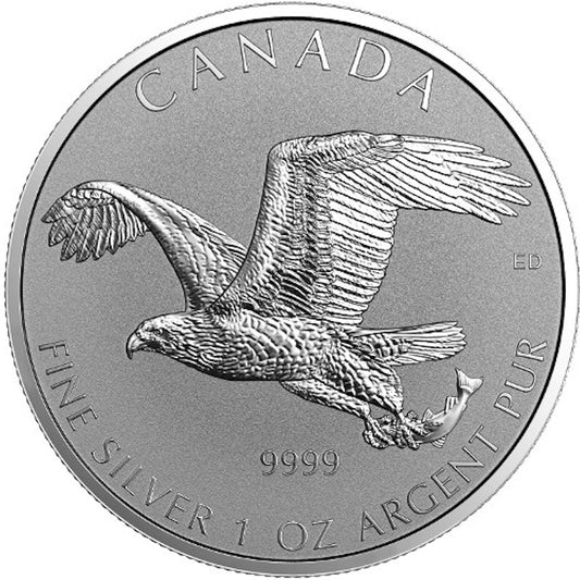 SALE! 2017 Canada $5 1oz. Birds of Prey - Bald Eagle Reverse Proof Silver (No Tax)