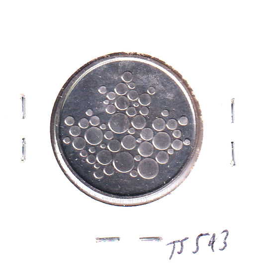 Royal Canadian Mint Medallion/Token with Mint Logo (Bubbles)