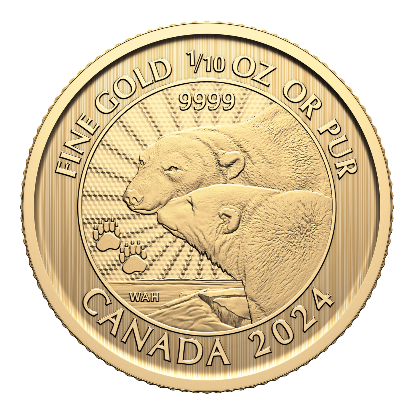 2024 Canada $5 First Strikes: Majestic Polar Bear 1/10oz. Pure Gold (No Tax)