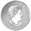 2016 Canada $300 Maple Leaf Forever Pure Platinum Coin (TAX Exempt)