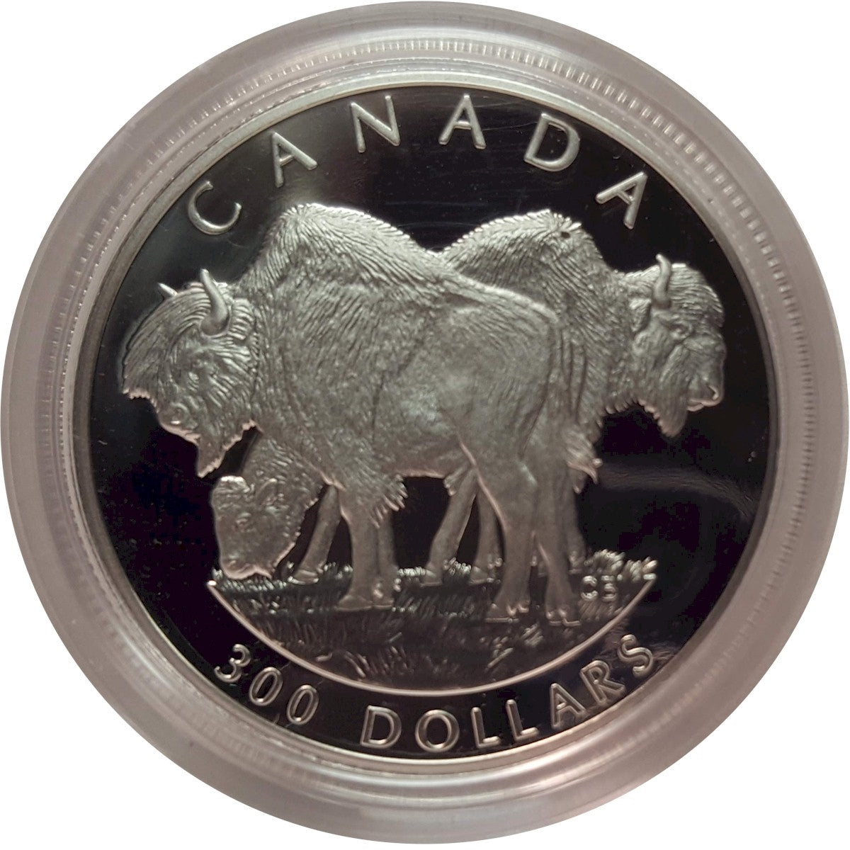 1997 Canada Wood Bison Platinum 4 Coin Set (No Tax) scratched capsules