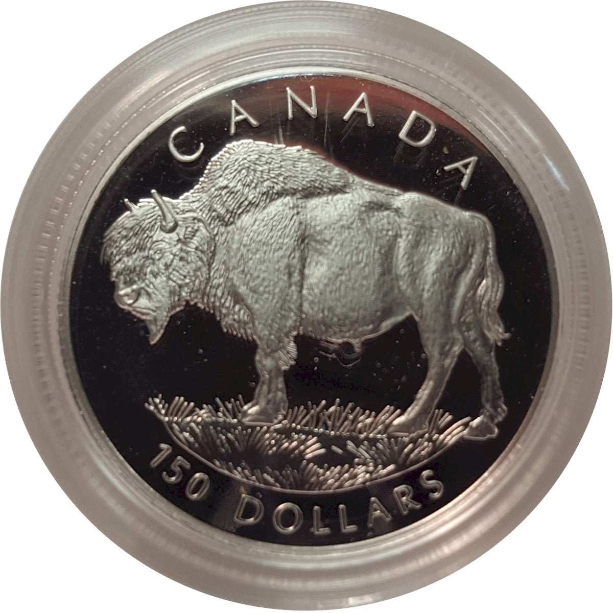 1997 Canada Wood Bison Platinum 4 Coin Set (No Tax) scratched capsules