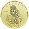 2018 Canada Specimen Set - Burrowing Owl