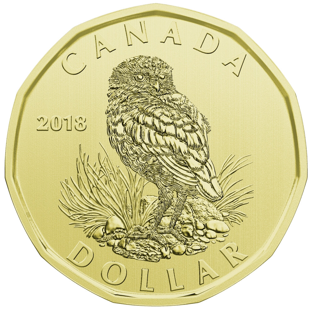 2018 Canada Specimen Set - Burrowing Owl