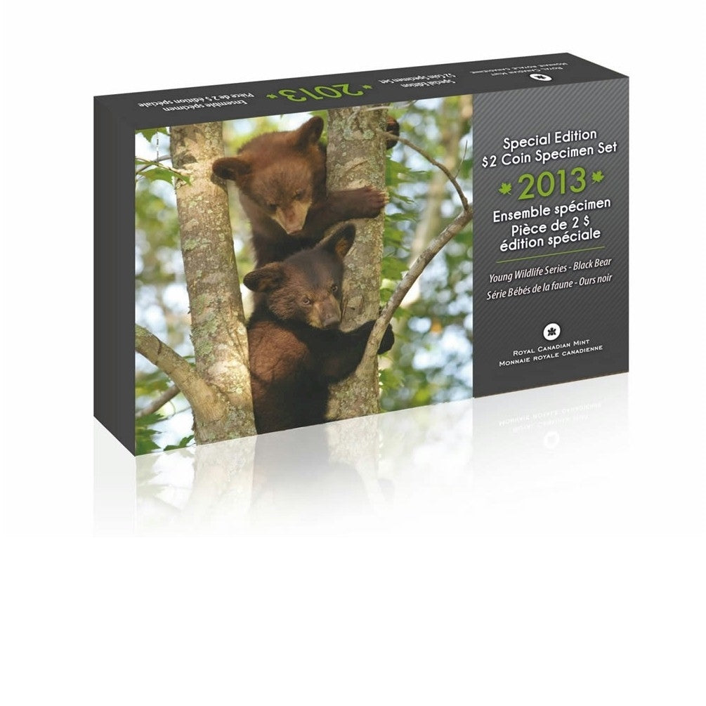 2013 Canada Black Bear Cubs Special Edition Specimen Set