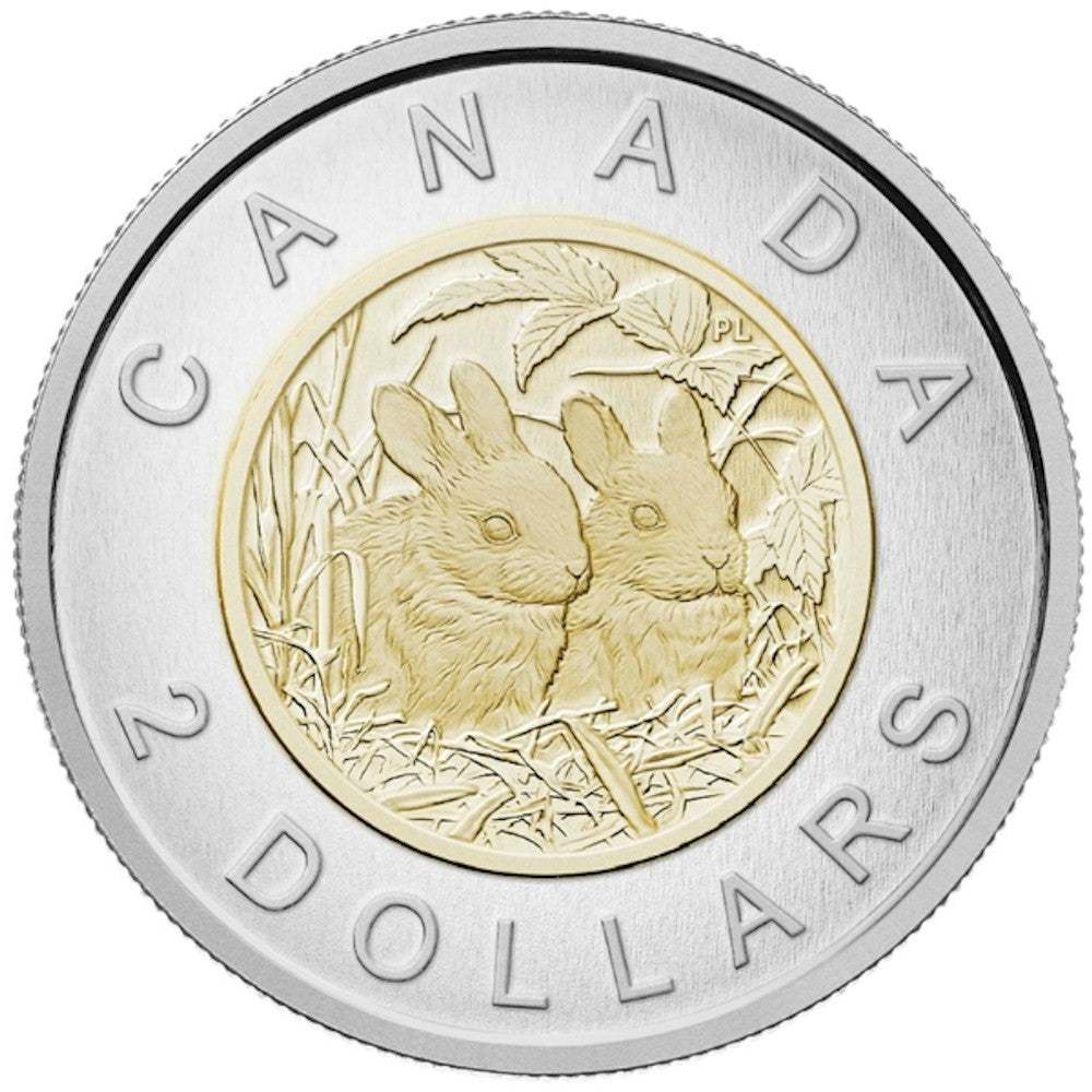 2014 Canada Baby Rabbits Special Edition Specimen Set