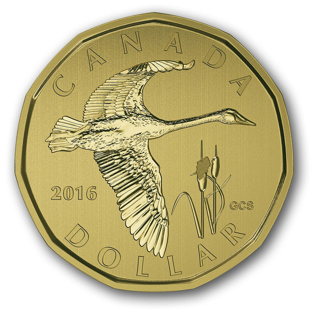 2016 Canada Tundra Swan Specimen Set