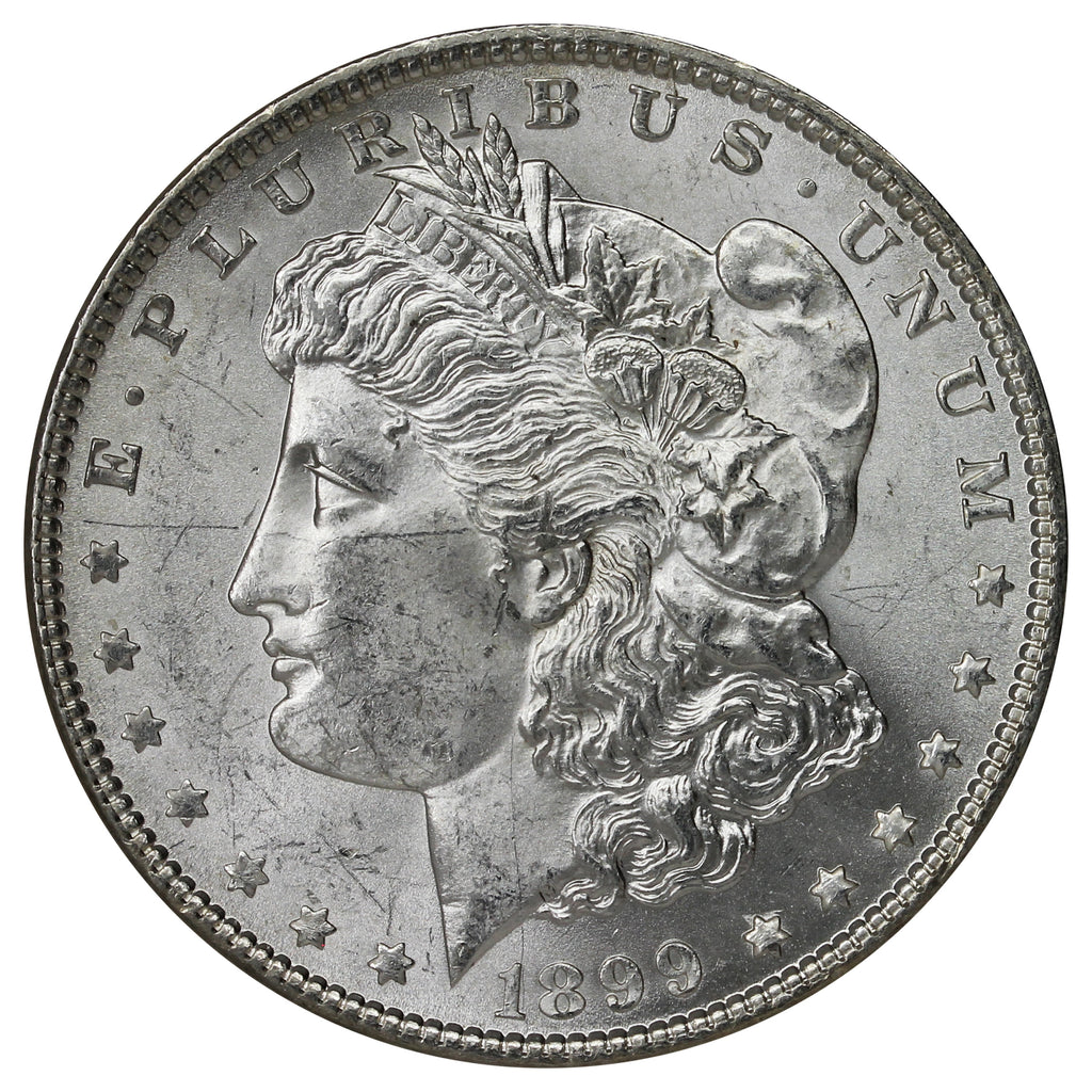 1899 USA Dollar Brilliant Uncirculated (MS-63) $