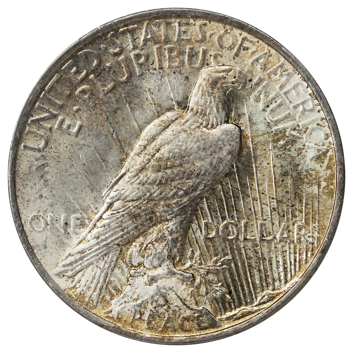 1923 USA Dollar PCGS Certified MS-63