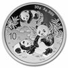 2025 10Y China Panda 30g .999 Silver (No Tax)