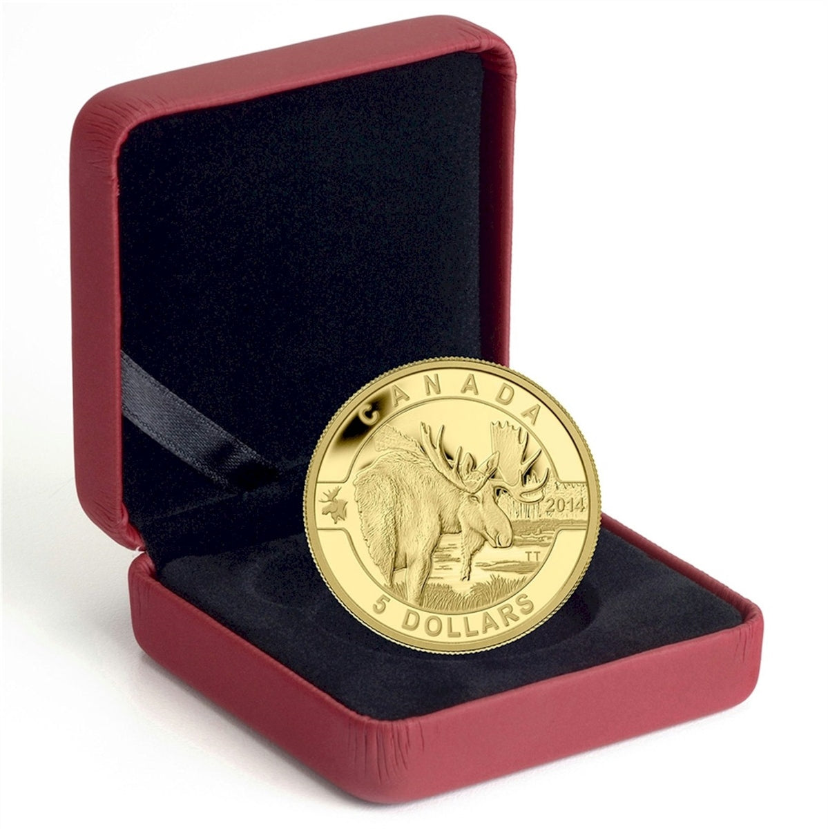 2014 Canada $5 O Canada Series - Moose Pure Gold Coin (TAX Exempt)